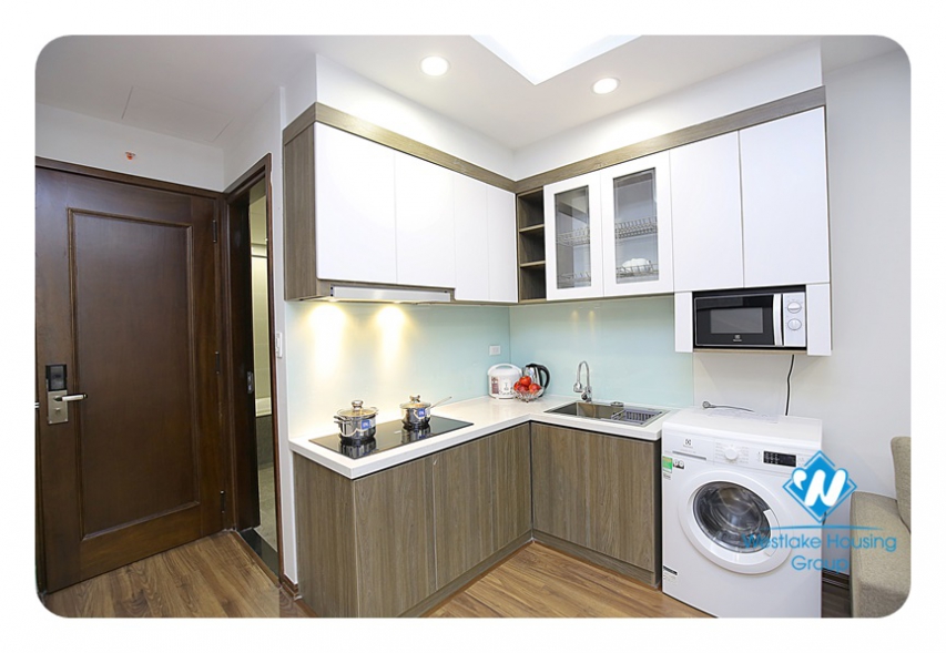 Nice one bedroom apartment for rent in a brand-new building in Ba Dinh